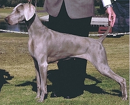 katie 4 bos.jpg - 133.74 K